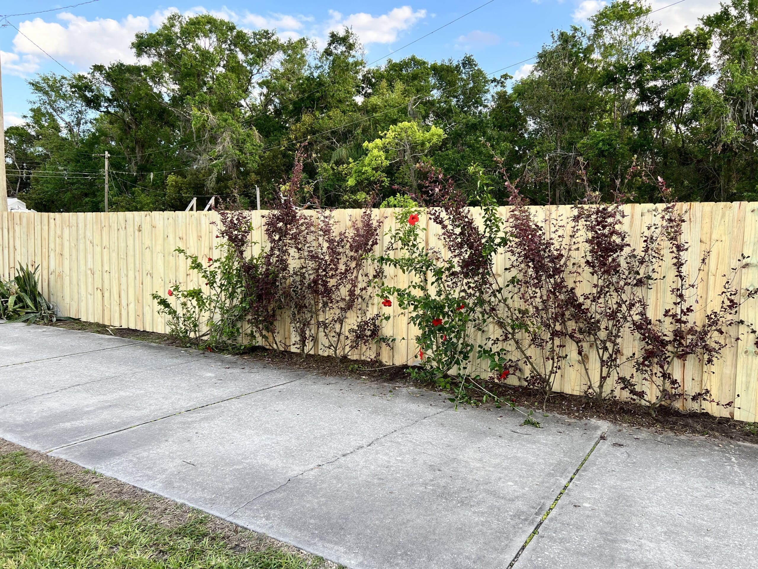 Weeki Wachee Fencing