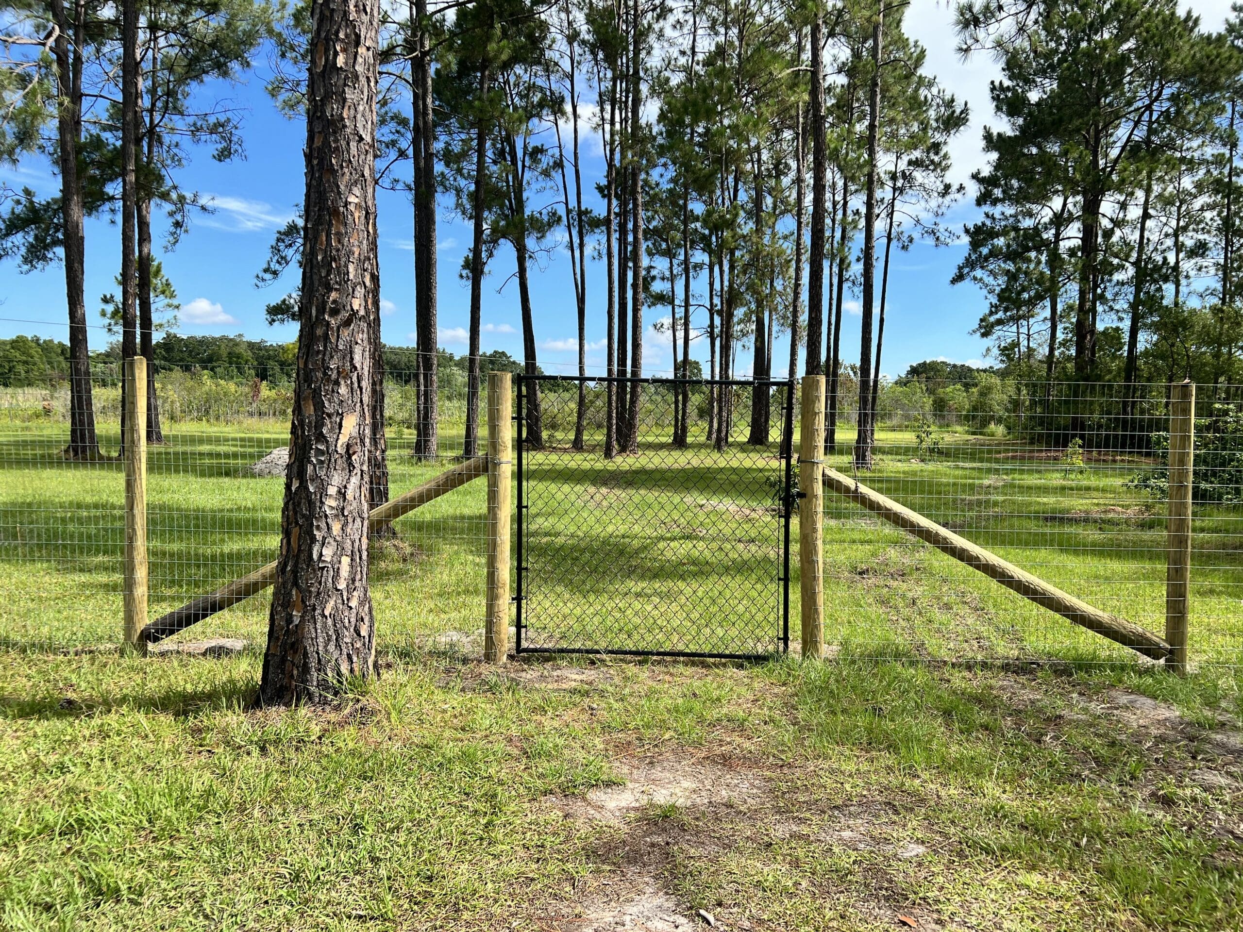 fence repair lutz fl